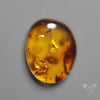 Baltic Amber Cabochon