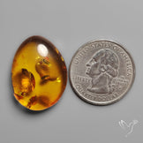 Baltic Amber Cabochon