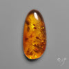 Baltic Amber Cabochon