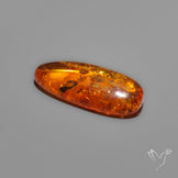 Baltic Amber Cabochon