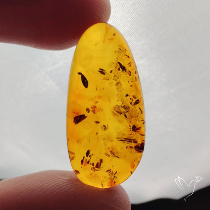Baltic Amber Cabochon