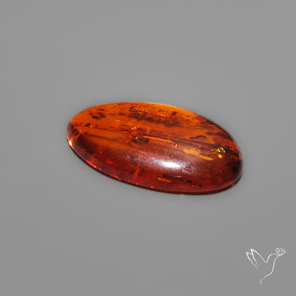 Baltic Amber Cabochon