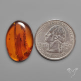 Baltic Amber Cabochon