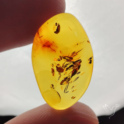 Baltic Amber Cabochon