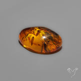 Baltic Amber Cabochon