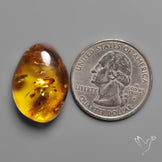 Baltic Amber Cabochon