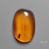Baltic Amber Cabochon
