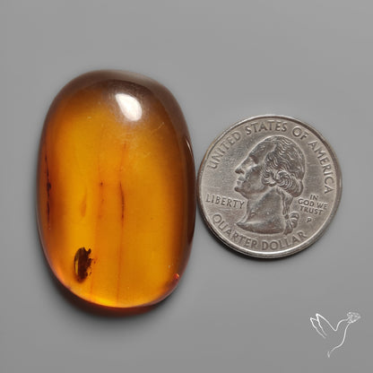 Baltic Amber Cabochon
