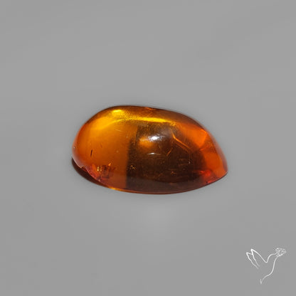 Baltic Amber Cabochon