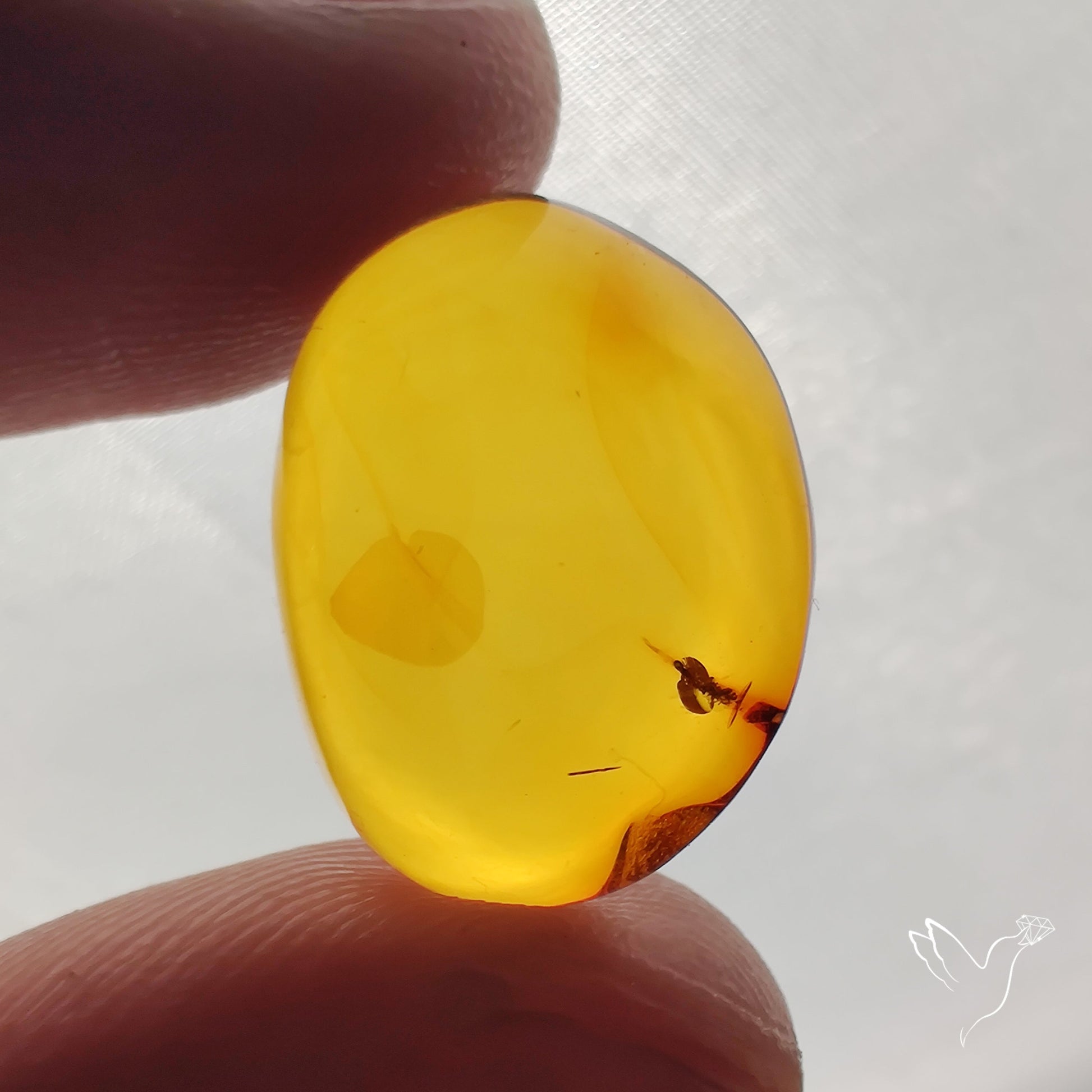 Baltic Amber Cabochon