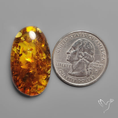 Baltic Amber Cabochon