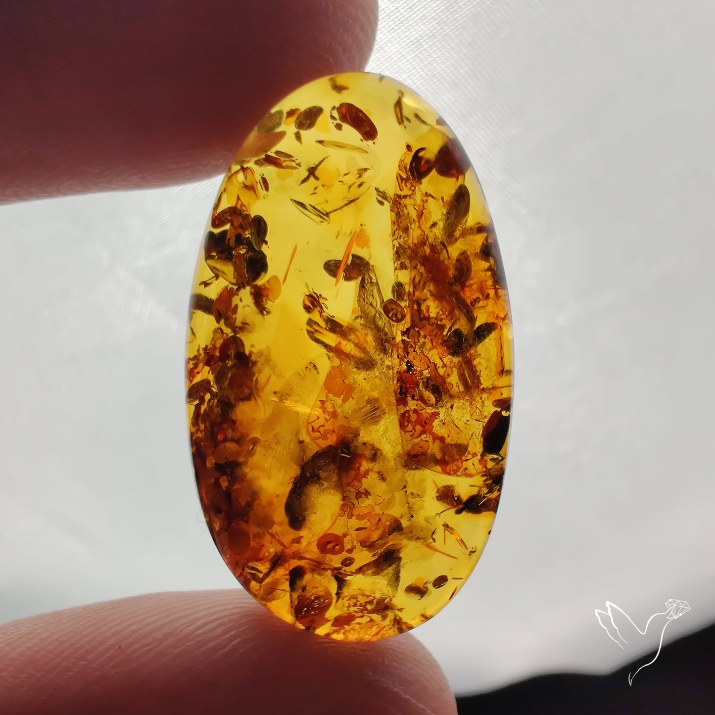 Baltic Amber Cabochon