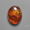 Baltic Amber Cabochon