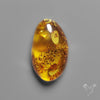 Baltic Amber Cabochon