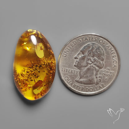 Baltic Amber Cabochon