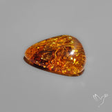 Baltic Amber Cabochon
