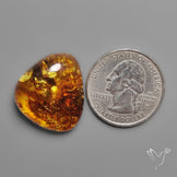 Baltic Amber Cabochon