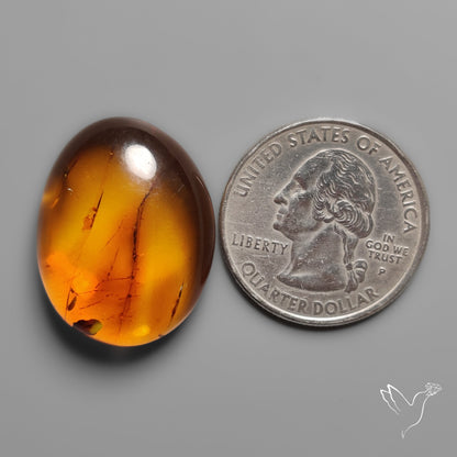 Baltic Amber Cabochon