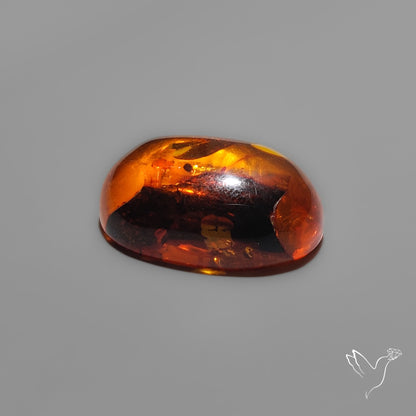 Baltic Amber Cabochon