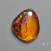 Baltic Amber Cabochon
