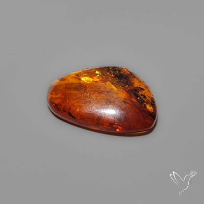 Baltic Amber Cabochon