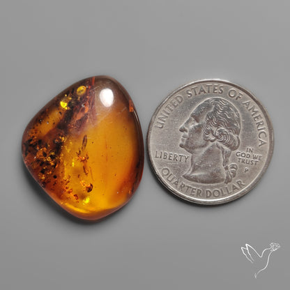 Baltic Amber Cabochon