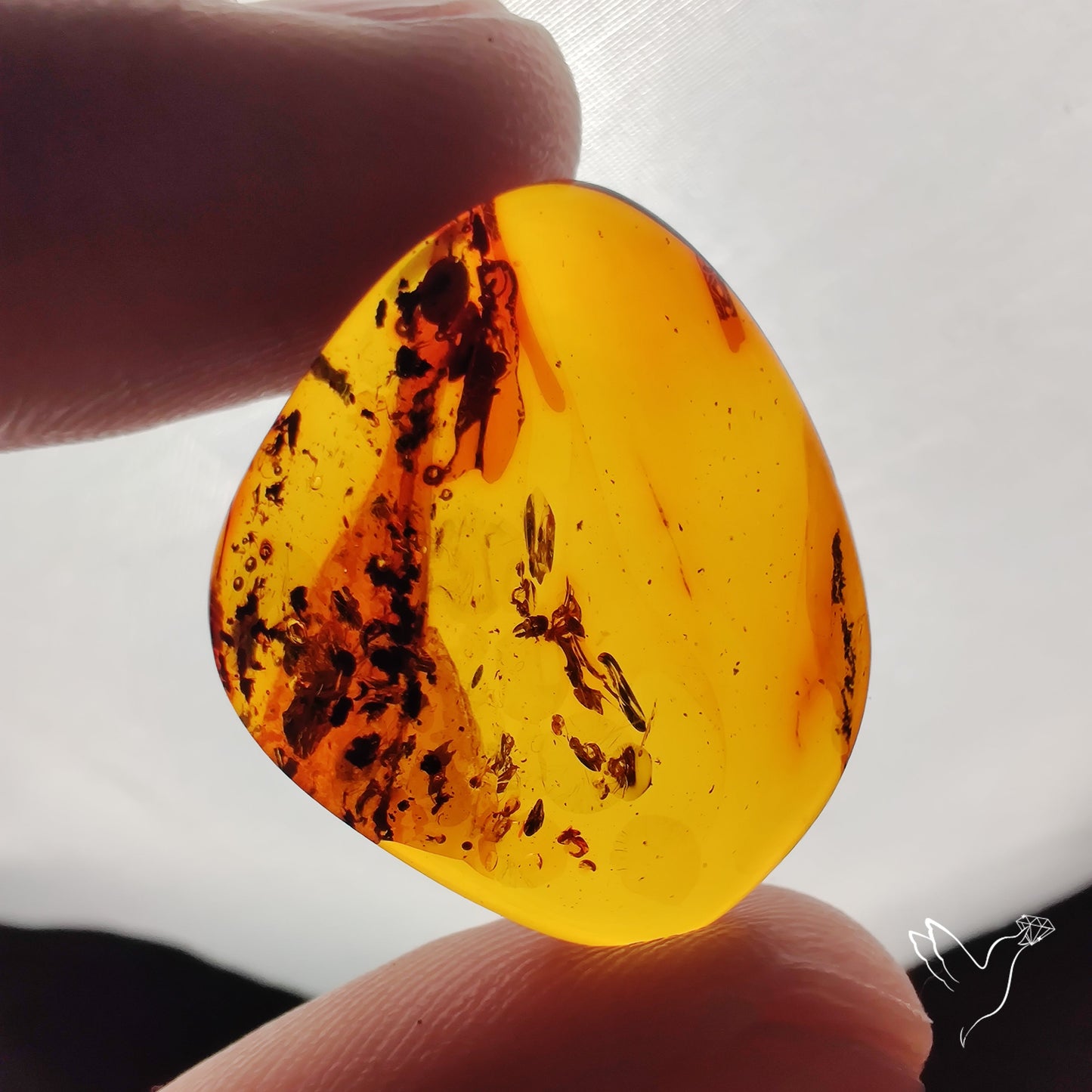 Baltic Amber Cabochon