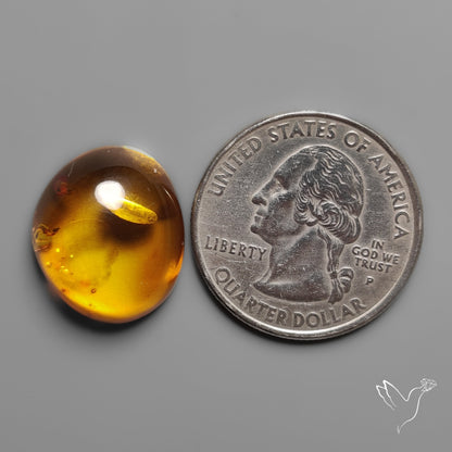 Baltic Amber Cabochon