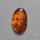 Baltic Amber Cabochon