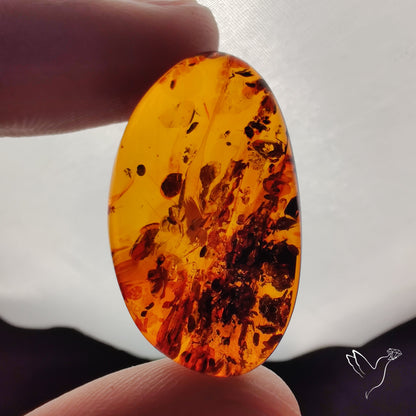 Baltic Amber Cabochon