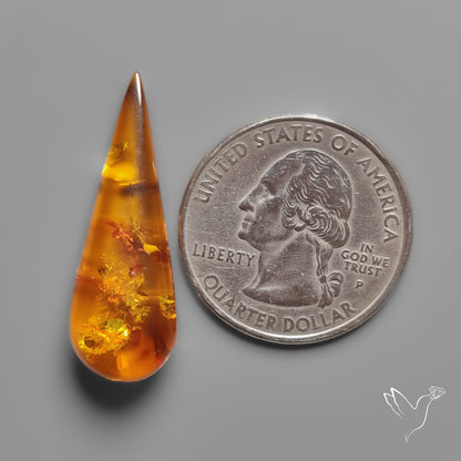 Baltic Amber Cabochon