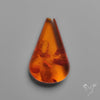 Baltic Amber Cabochon