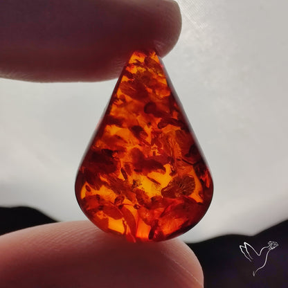 Baltic Amber Cabochon