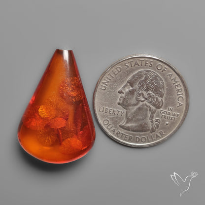 Baltic Amber Cabochon