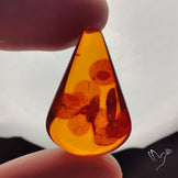 Baltic Amber Cabochon