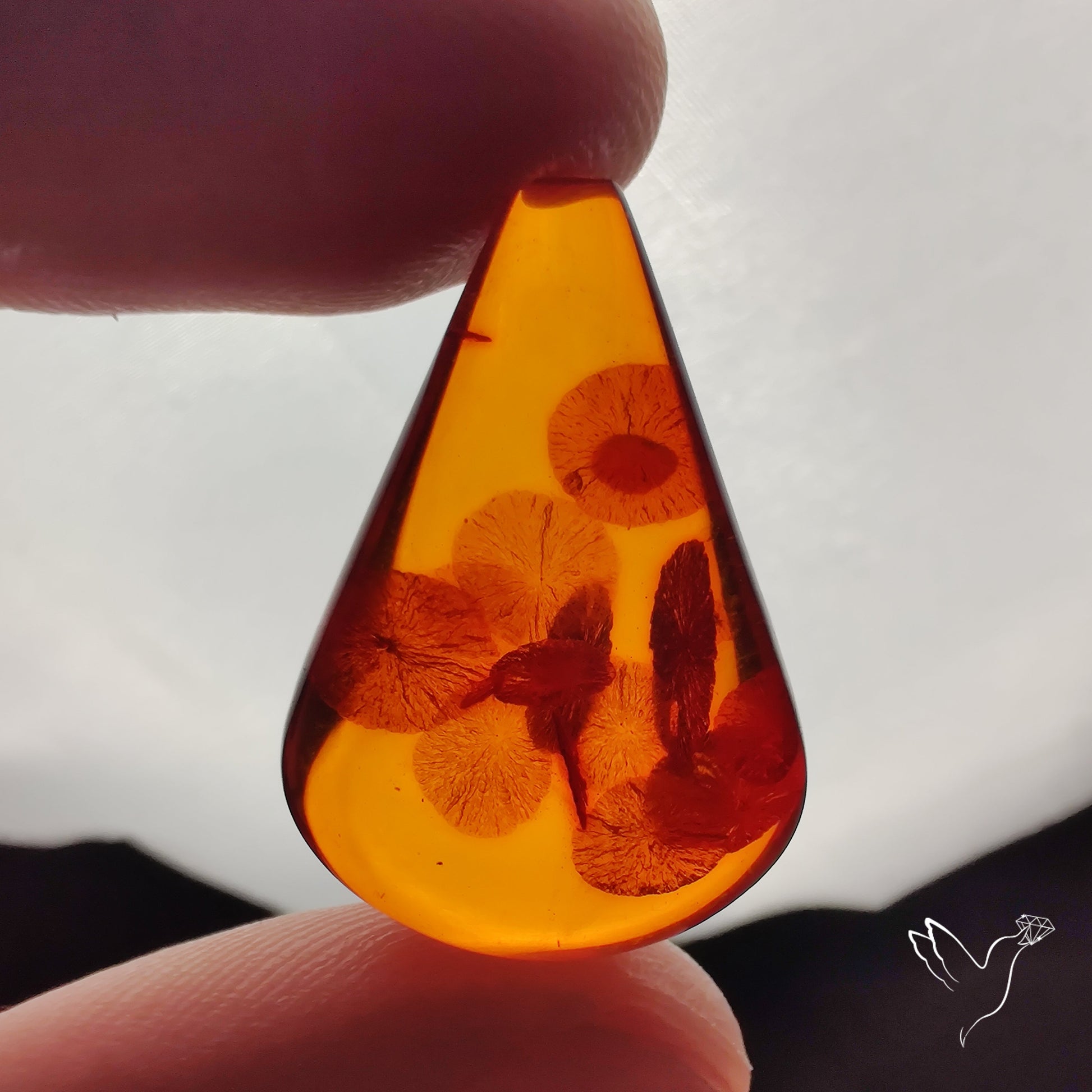 Baltic Amber Cabochon