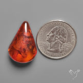 Baltic Amber Cabochon