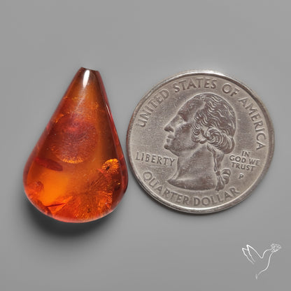 Baltic Amber Cabochon