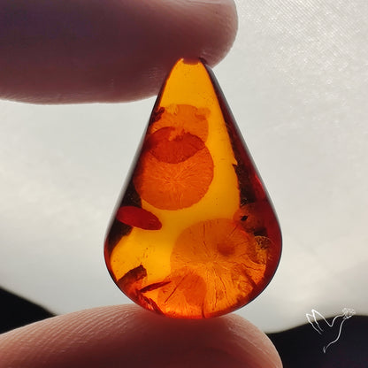 Baltic Amber Cabochon