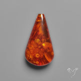Baltic Amber Cabochon