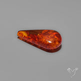 Baltic Amber Cabochon