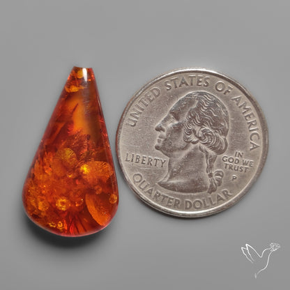 Baltic Amber Cabochon