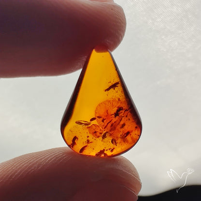 Baltic Amber Cabochon