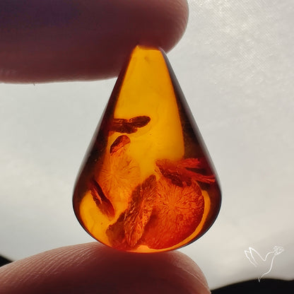 Baltic Amber Cabochon