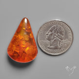 Baltic Amber Cabochon