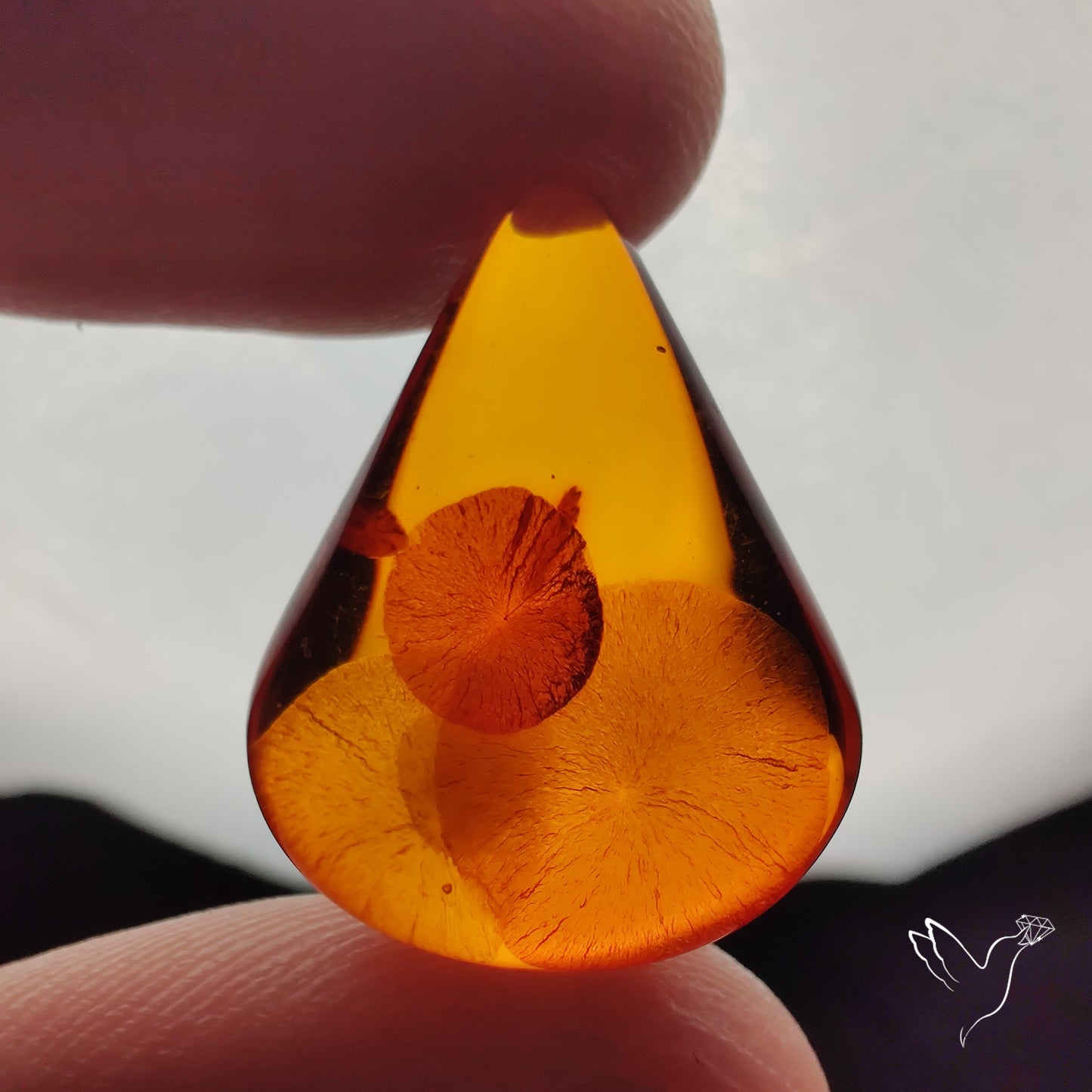 Baltic Amber Cabochon
