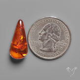 Baltic Amber Cabochon