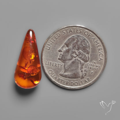 Baltic Amber Cabochon