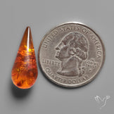 Baltic Amber Cabochon