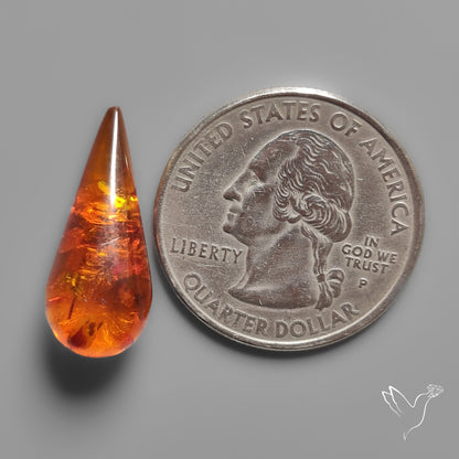 Baltic Amber Cabochon